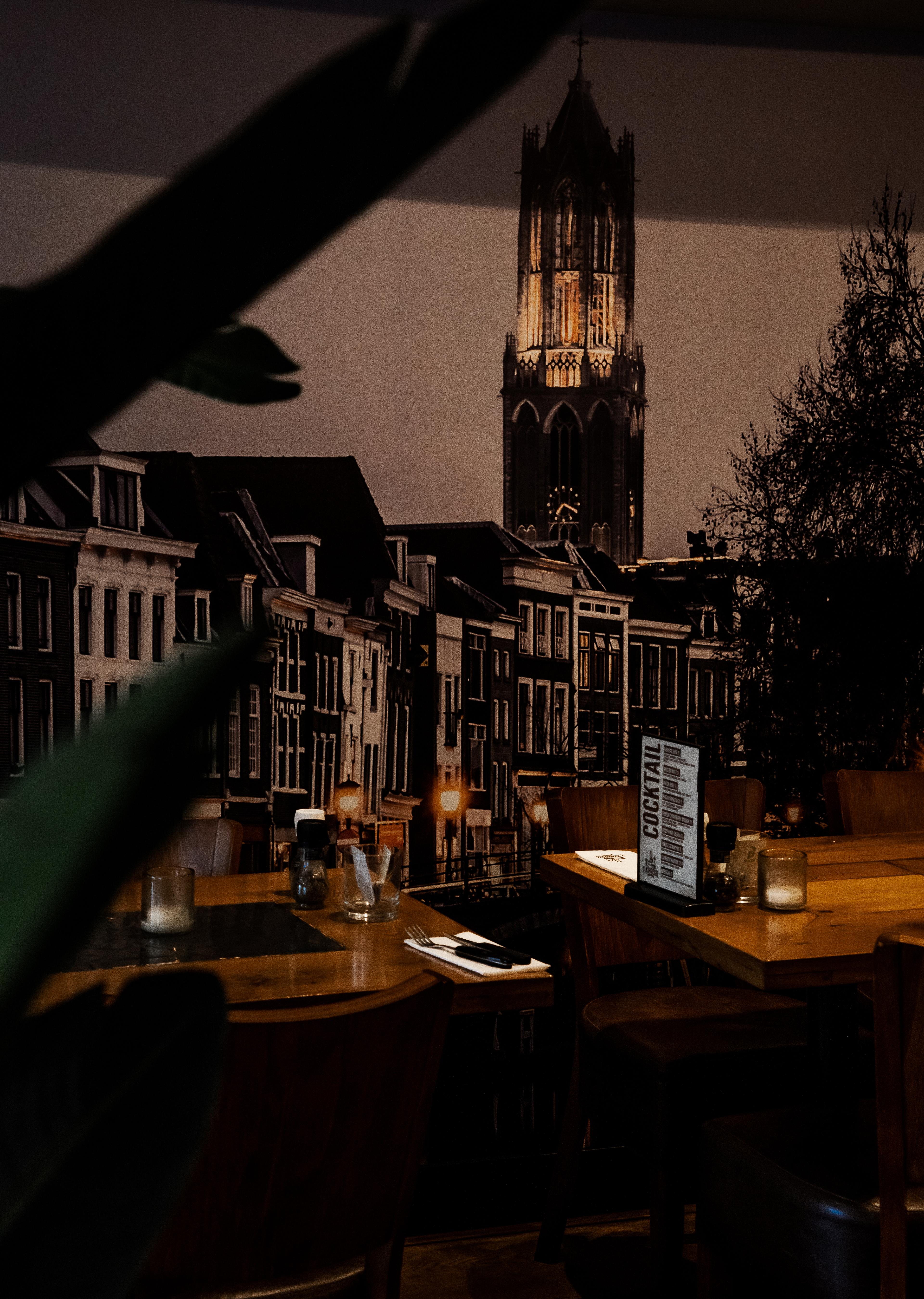 Uitzicht op de Domtoren vanaf 't Kippegie